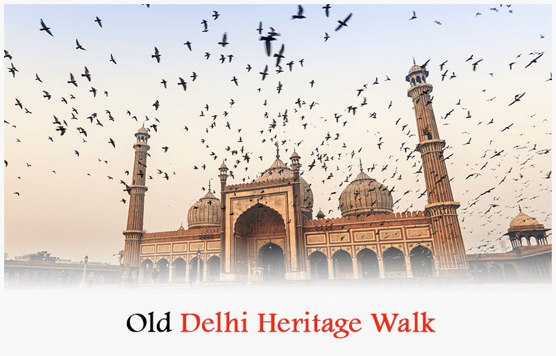 Old delhi heriritage walk-sikhtour